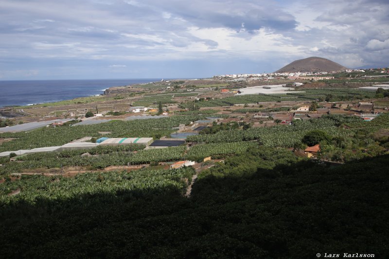 One week at Tenerife, from North to South, Teide - Garachico - Masca - Marazul - Adeje