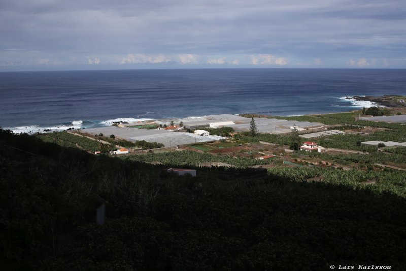 One week at Tenerife, from North to South, Teide - Garachico - Masca - Marazul - Adeje