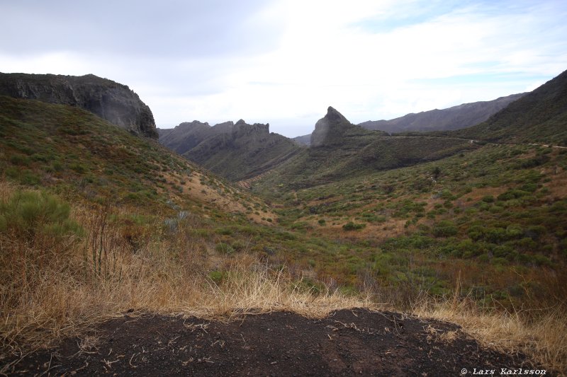 One week at Tenerife, from North to South, Teide - Garachico - Masca - Marazul - Adeje