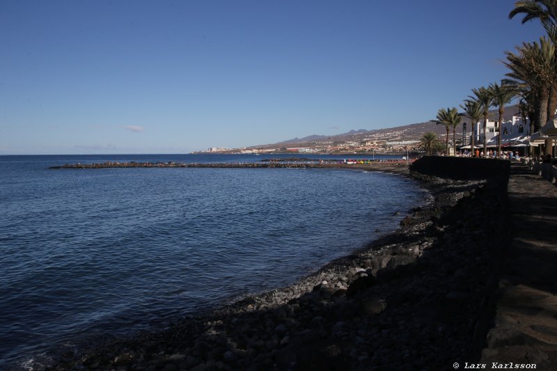 One week at Tenerife, walking from Costa Adeje to Los Cristianos