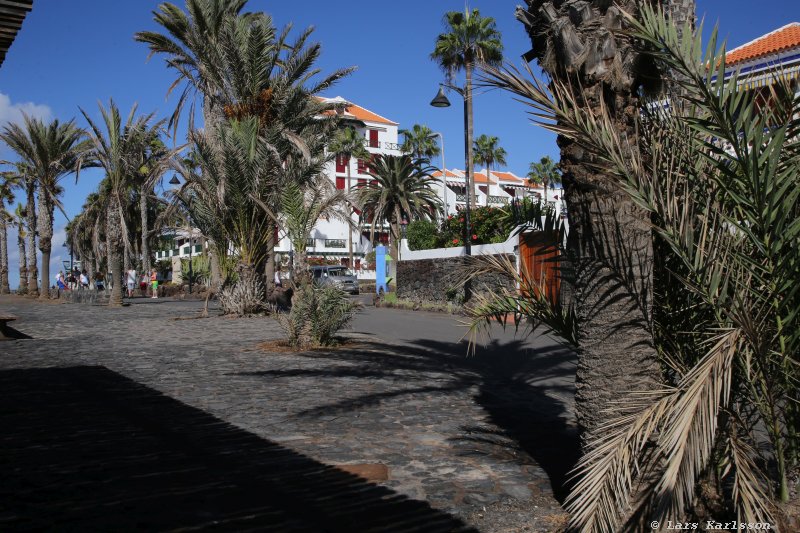 One week at Tenerife, walking from Costa Adeje to Los Cristianos