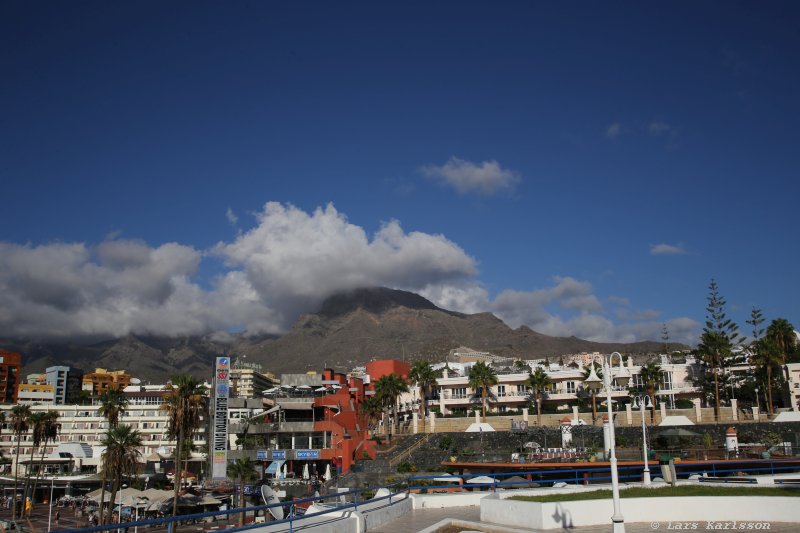 One week at Tenerife, Adeje, whale and dolphin safari