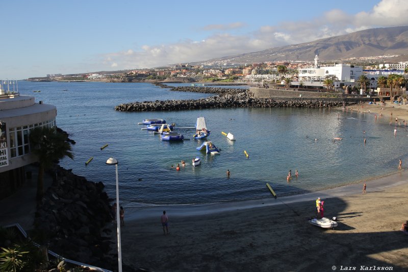 One week at Tenerife, Adeje, whale and dolphin safari