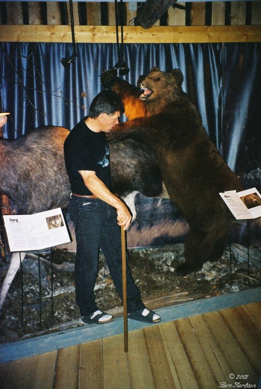 The Lappland tour in Northern Sweden, 2002