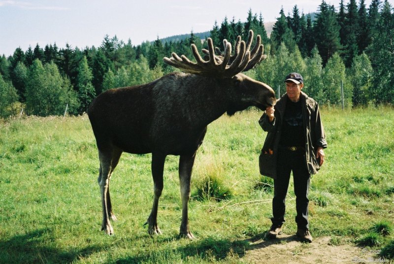 The Lappland tour in Northern Sweden, 2002