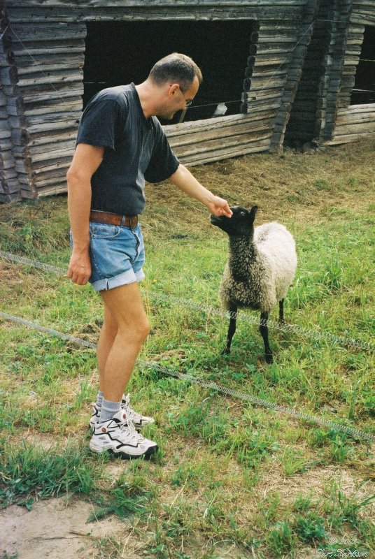 The Lappland tour in Northern Sweden, 2002