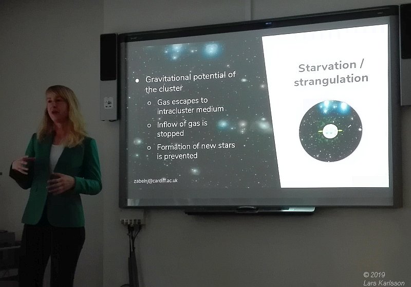 Seminar: How does the galaxy cluster environment affect molecular gas and star formation ? by Nikki Zabel, 2019