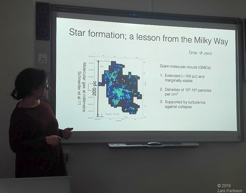 Seminar: Star clusters as footprints of star formation by Angela Adamo, 2019