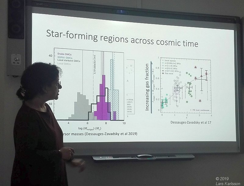 Seminar: Star clusters as footprints of star formation by Angela Adamo, 2019