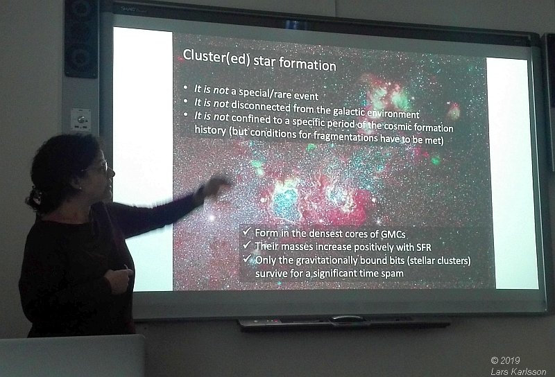 Seminar: Star clusters as footprints of star formation by Angela Adamo, 2019