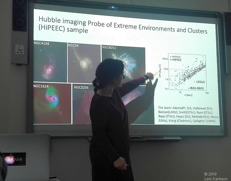 Seminar: Star clusters as footprints of star formation by Angela Adamo, 2019