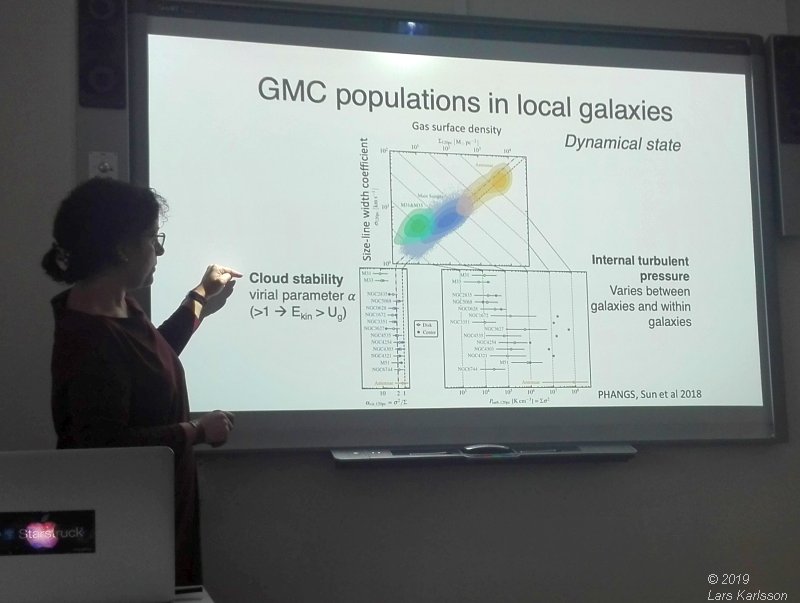 Seminar: Star clusters as footprints of star formation by Angela Adamo, 2019