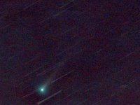 Comet C/2021 A1 Leonard, 2021