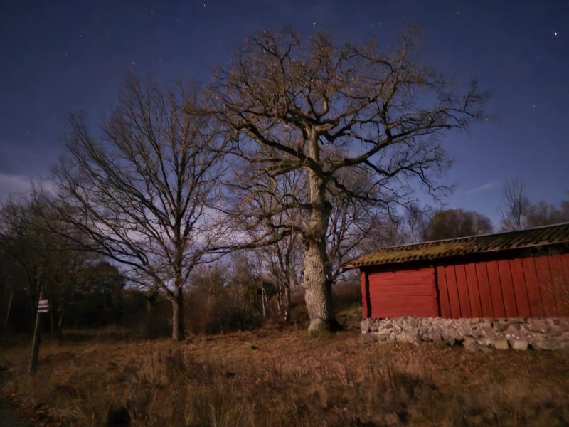 Tyresta reservatet i månsken, november 2024