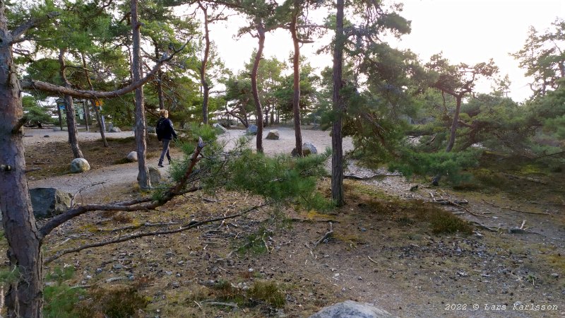 Observationsplats Örudden på Torö