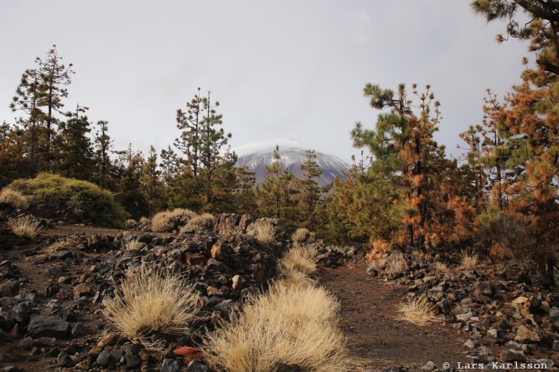 The Teide observatory, Tenerife