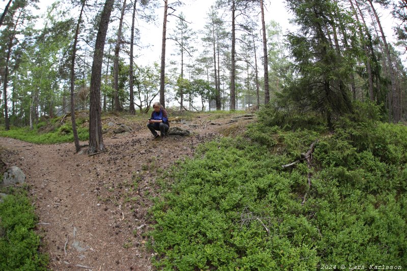 Gamla Ormkärr i Östra Älvsjöskogen