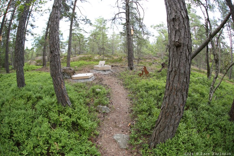 Gamla Ormkärr i Östra Älvsjöskogen