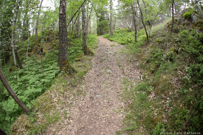 Gamla Ormkärr i Östra Älvsjöskogen