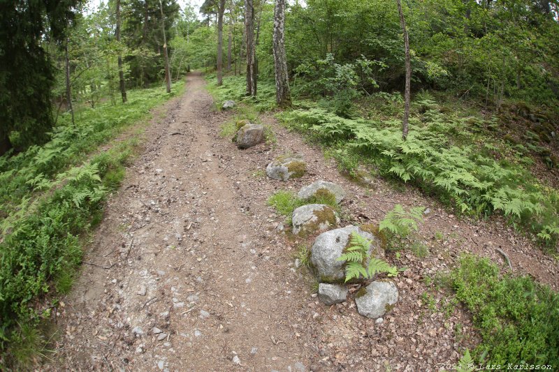 Gamla Ormkärr i Östra Älvsjöskogen