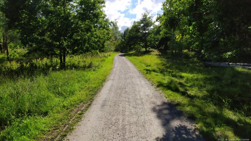 Gamla Ormkärr i Östra Älvsjöskogen