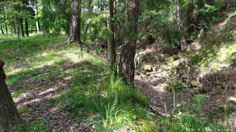 Gamla Ormkärr i Östra Älvsjöskogen