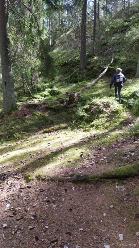 Älvsjöskogen med en fornlämning och ett fort, 2025