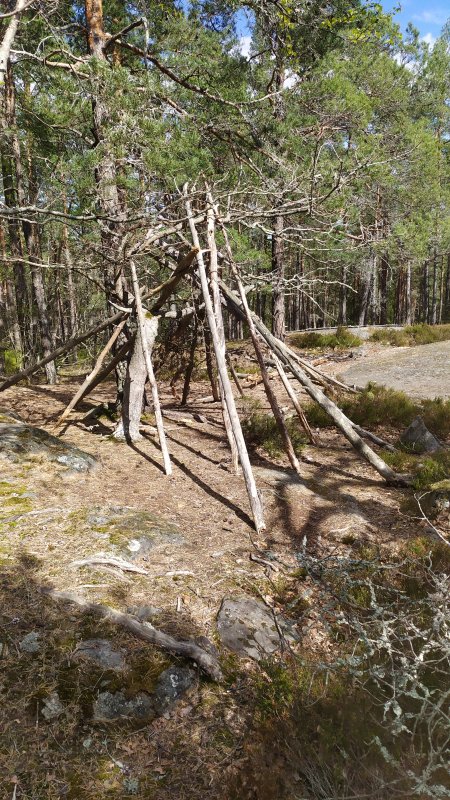 Älvsjöskogen med en fornlämning och ett fort, 2025