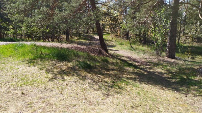 Fruängens Luftvärn, 2025