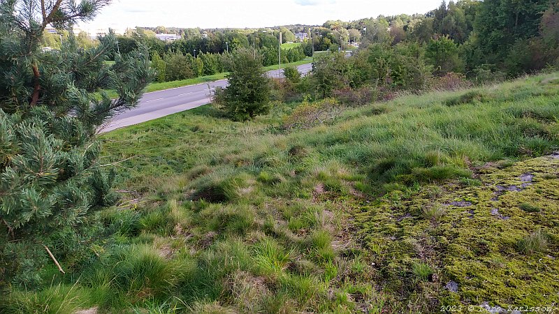 Walks and bicycling along the old road Göta Landsväg