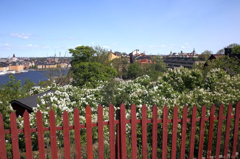 Från Medborgarplatsen med omvägar till Skanstull, Stockholm 2025