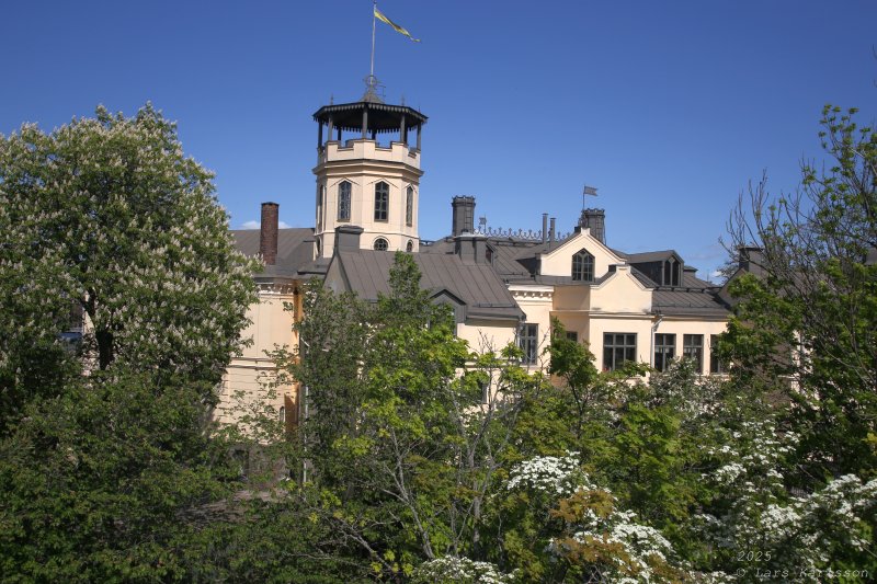 Från Medborgarplatsen med omvägar till Skanstull, Stockholm 2025