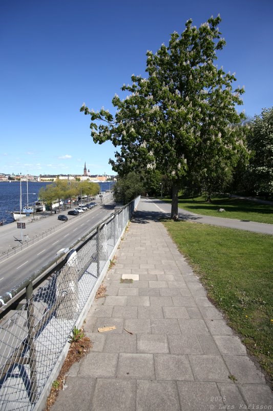 Från Medborgarplatsen med omvägar till Skanstull, Stockholm 2025