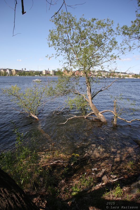 Från Medborgarplatsen med omvägar till Skanstull, Stockholm 2025