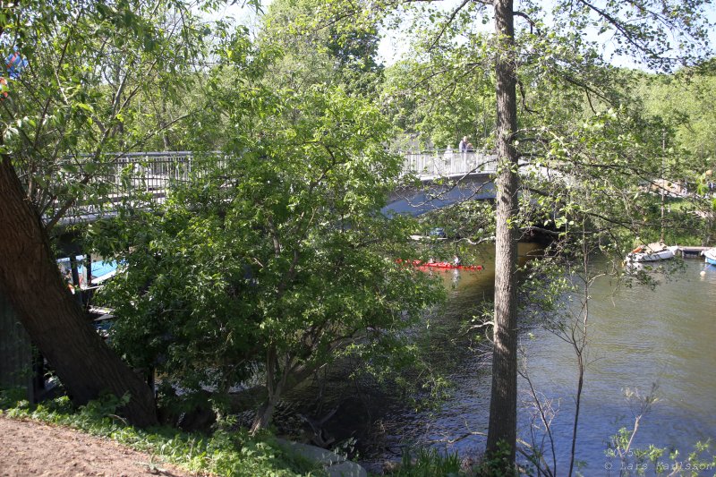 Från Medborgarplatsen med omvägar till Skanstull, Stockholm 2025