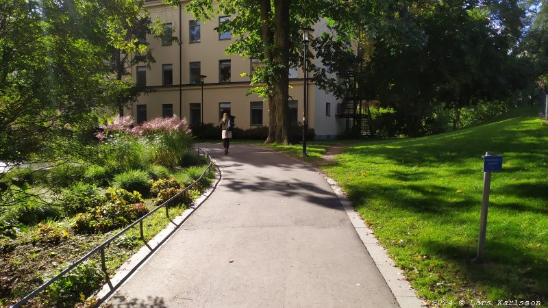 En promenad i Vasaparkens historiska miljö, Stockholm 2024