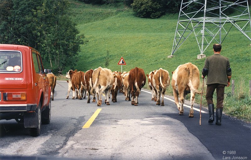 By car from Stockholm in Sweden to Germany and Austria, 1988