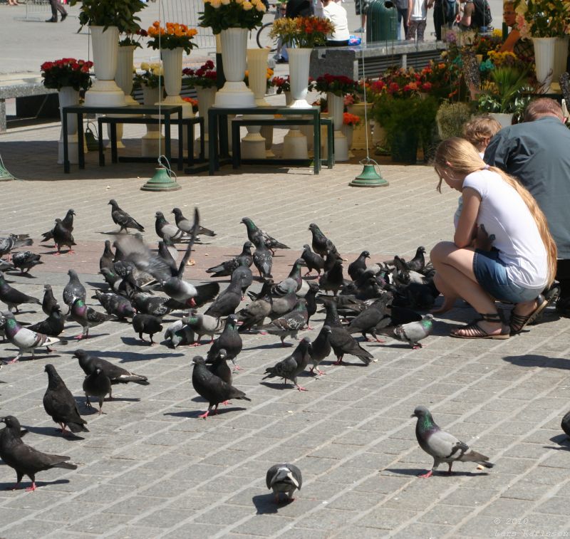 Travel in Eastern Europe's cities: Krakow, Bratislava and Budapest, 2010