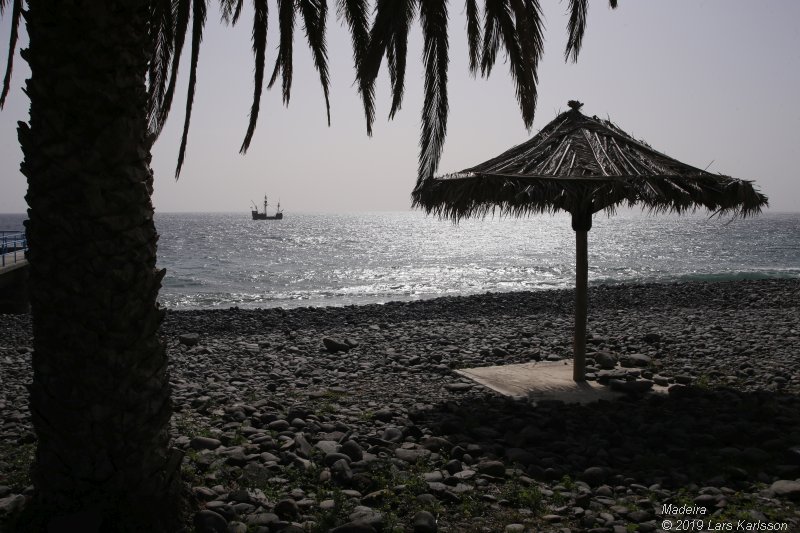 One week at Madeira in Funchal, 2019