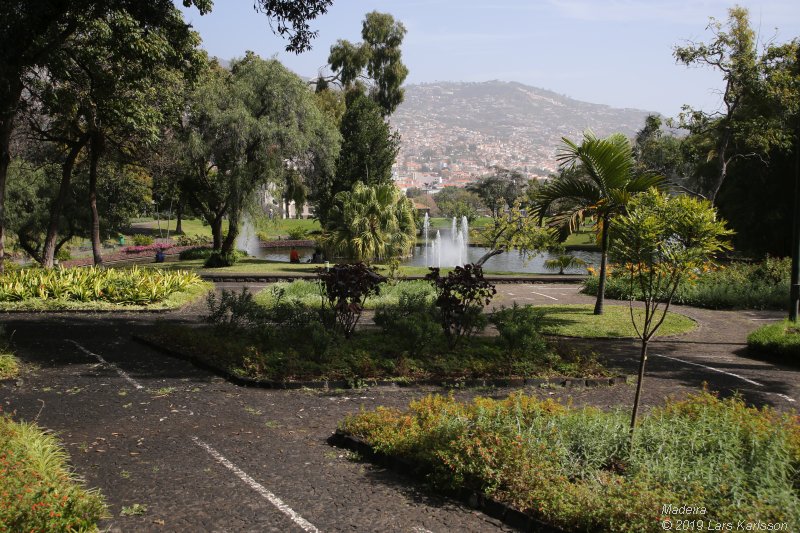 One week at Madeira in Funchal, 2019