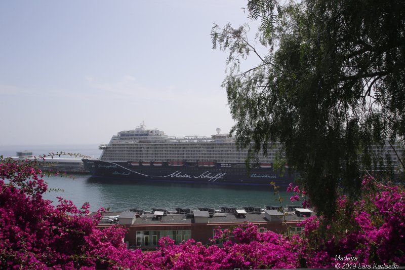 One week at Madeira in Funchal, 2019