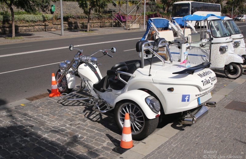 One week at Madeira in Funchal, 2019