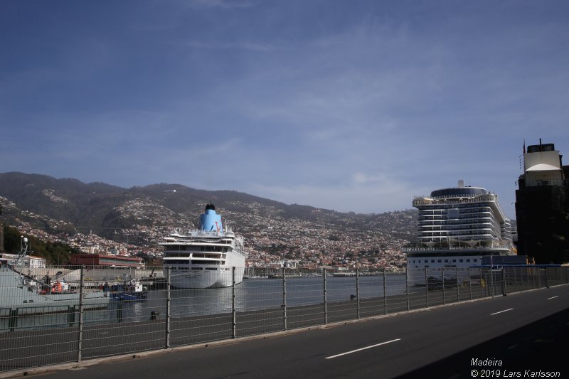 One week at Madeira in Funchal, 2019