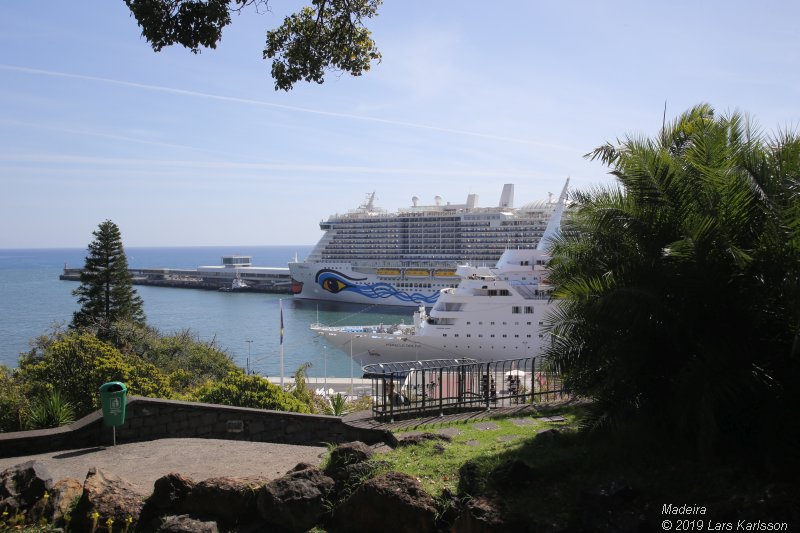 One week at Madeira in Funchal, 2019