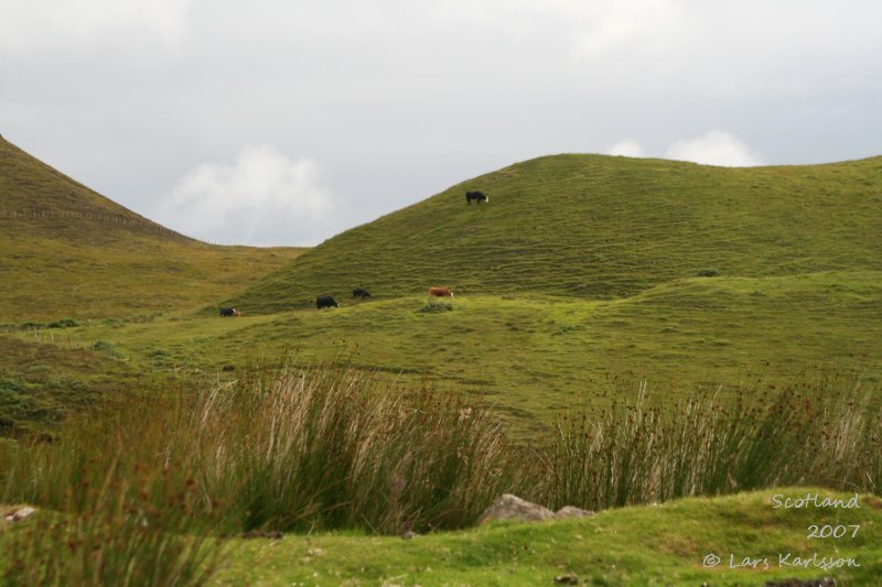 Isle of Skye, Quiraing
