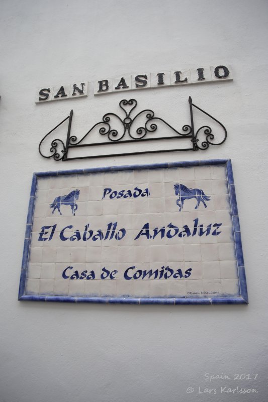 Spain: Roundtrip in Andalusia, Cordoba