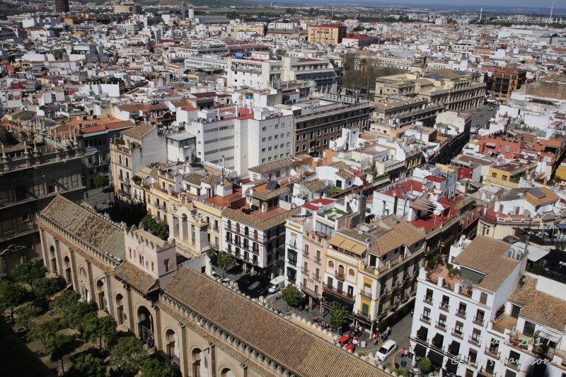 Spain: Roundtrip in Andalusia, Seville