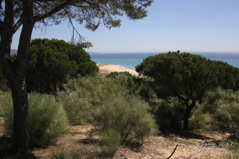 Spain: Andalusia, Cadiz to Algeciras along the Atlantic coast