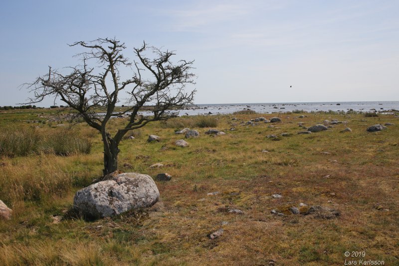 By car through Blekinge, Skåne and Småland, 2019