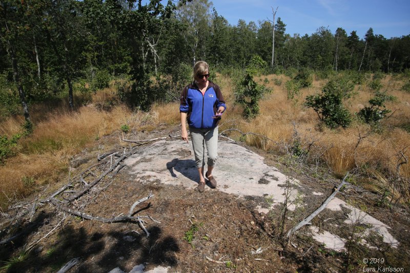 By car through Blekinge, Skåne and Småland, 2019